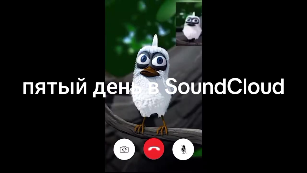 @Medvedovich