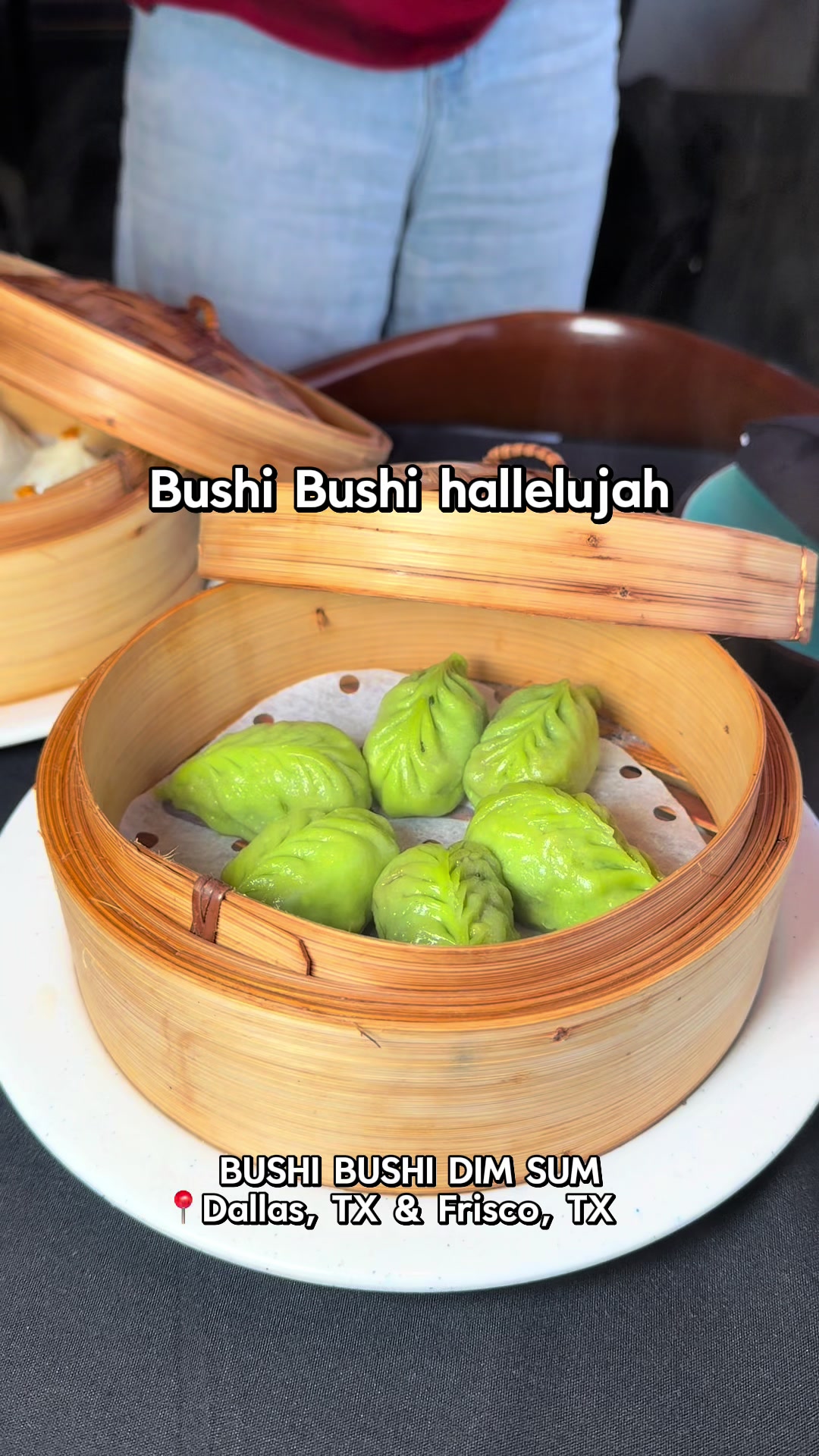 @bushibushi