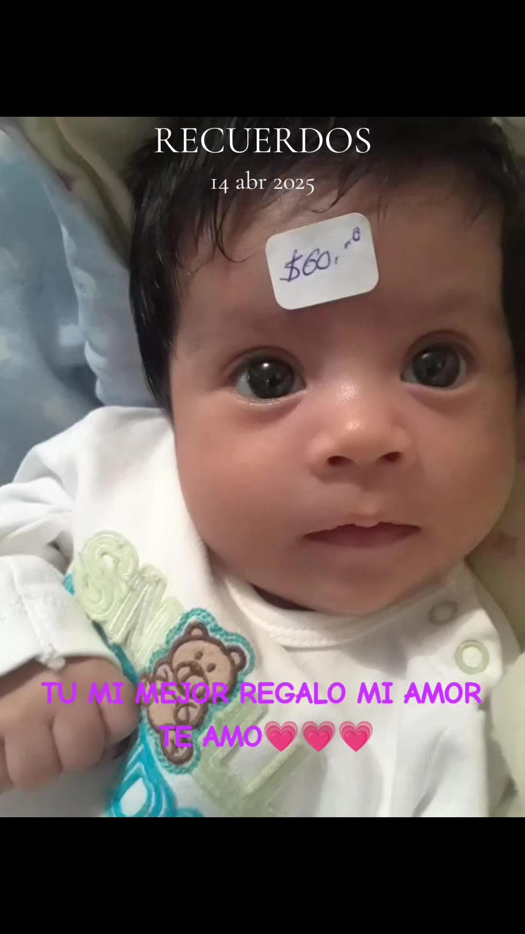 @ALONZO