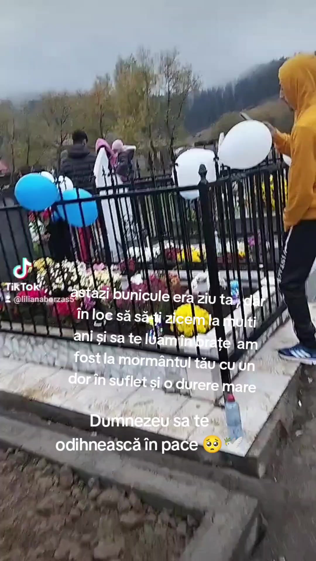 @🥀Lili🅰️N🅰️🥀