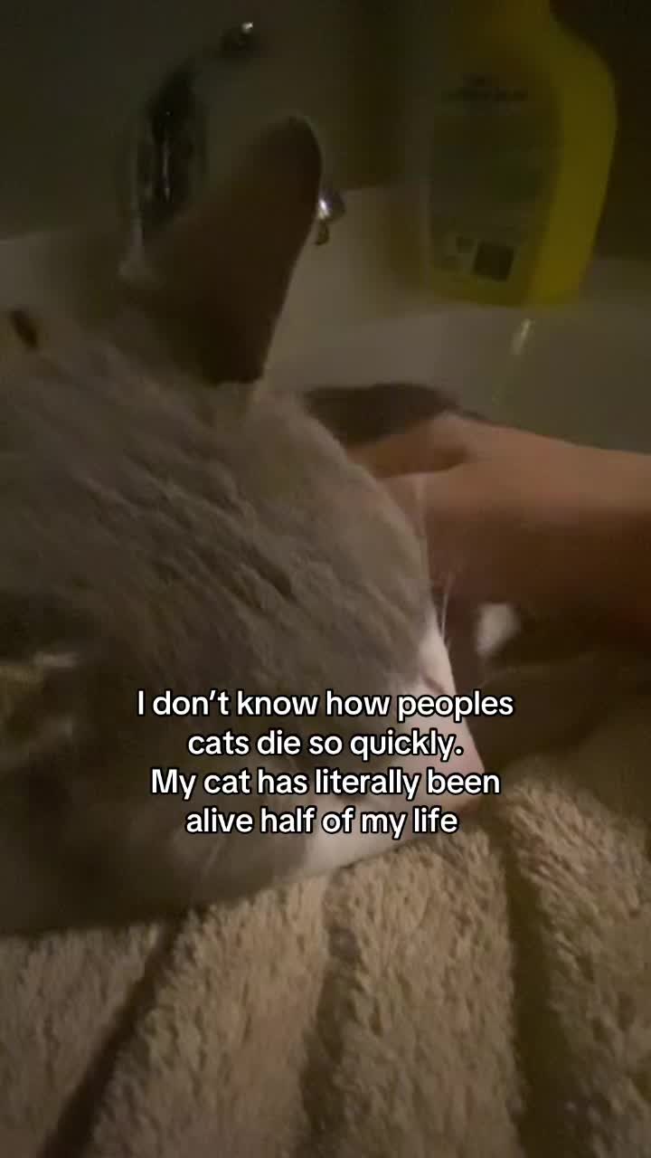 @𝘥𝘢𝘭𝘵𝘺𝘯𝘯𝘭𝘰𝘷𝘦𝘻𝘺𝘰𝘶