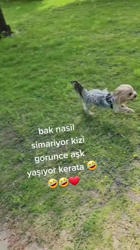 @Mali