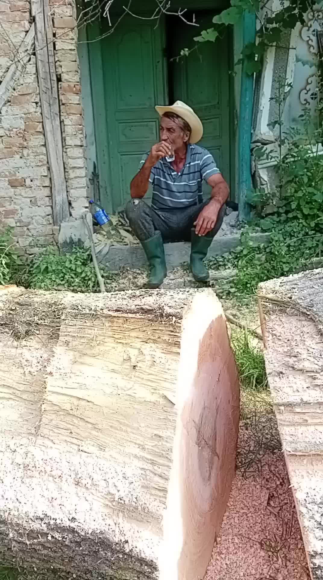 @Nicolae Stănescu