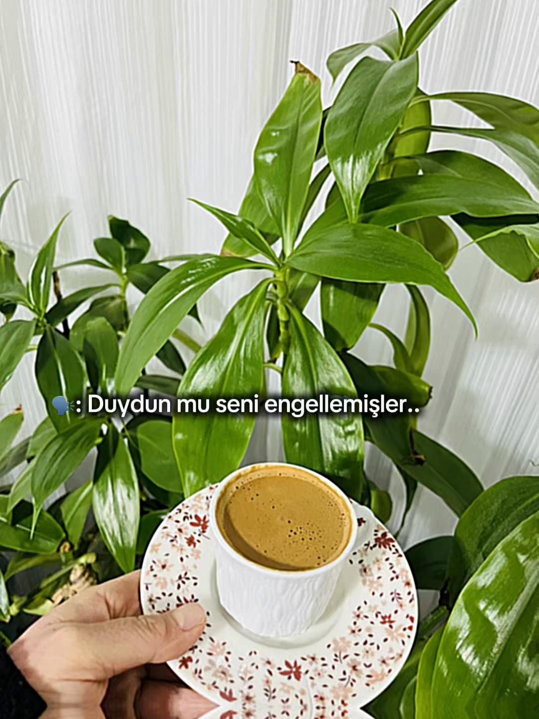@Nebibe kaygısız