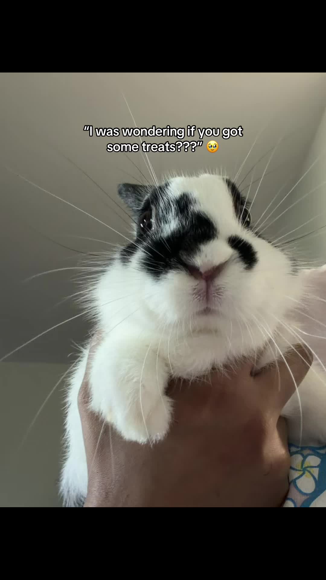 @bunsandhustles
