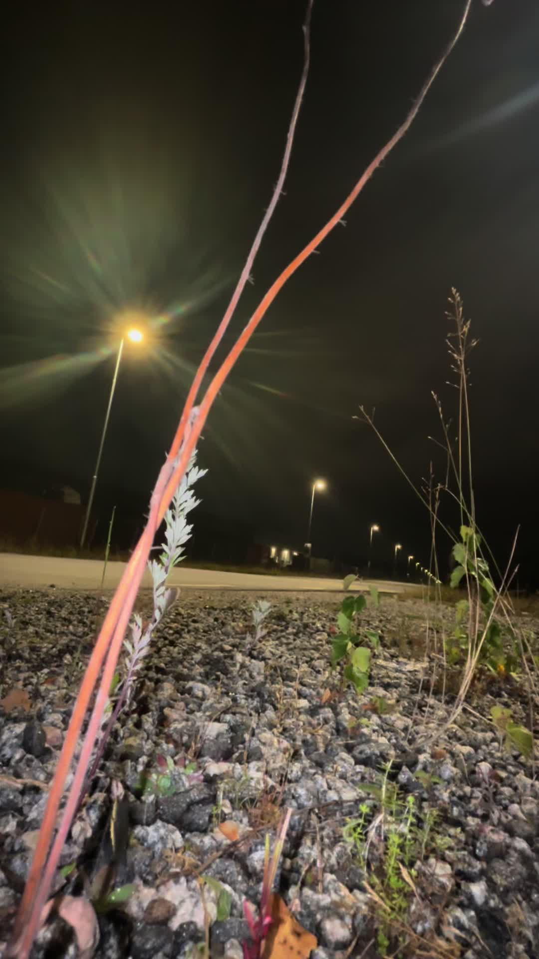 @G&auml;ngpaj🥶💯