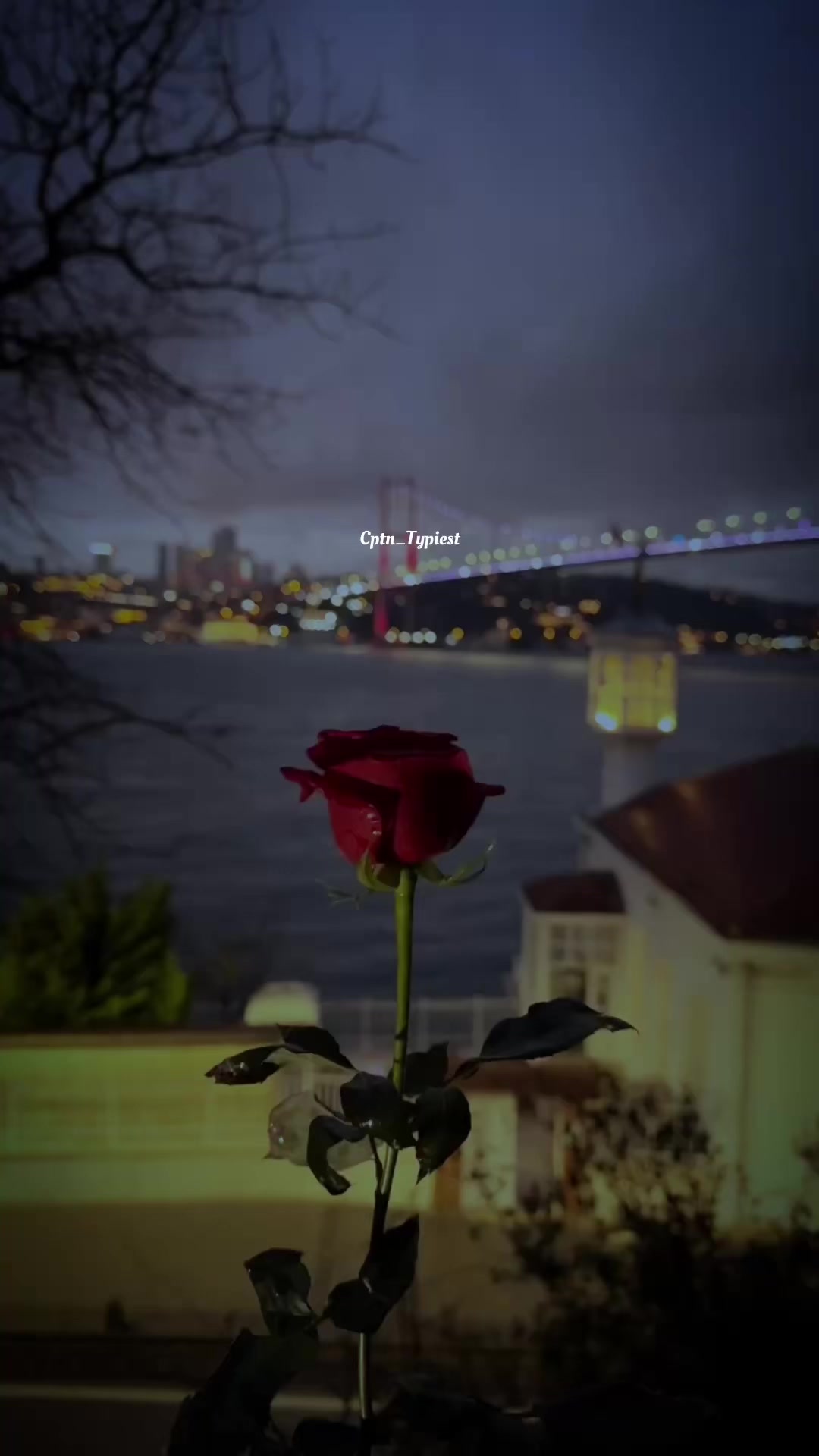 @💖𝙘𝙥𝙩𝙣_𝙩𝙮𝙥𝙞𝙚𝙨𝙩💝