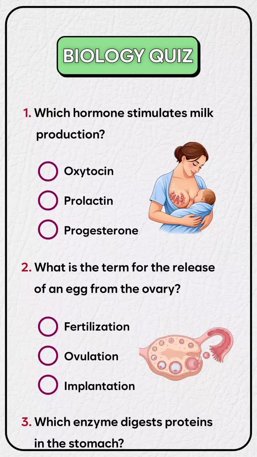 @QUIZ