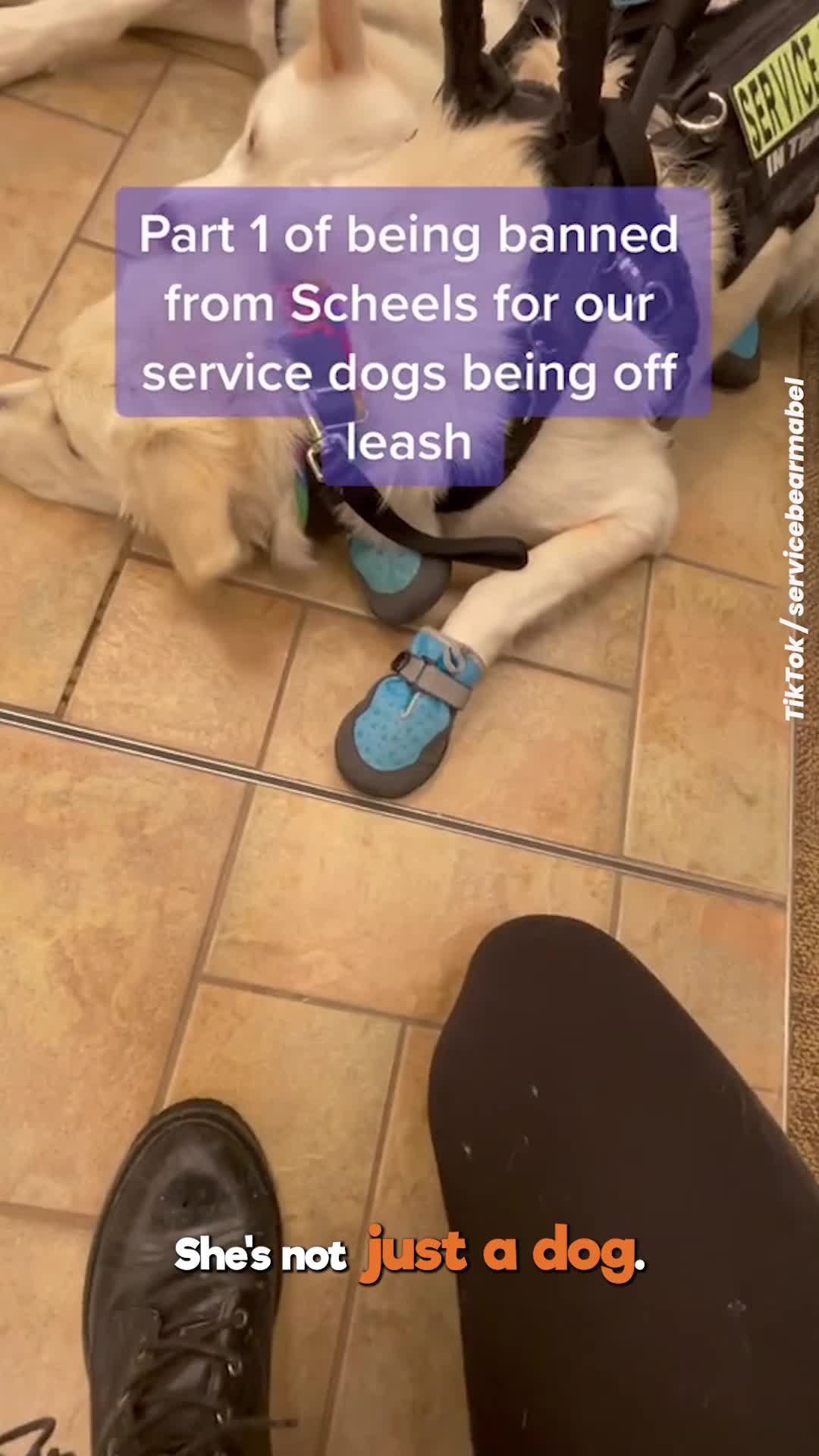 @Go Fetch