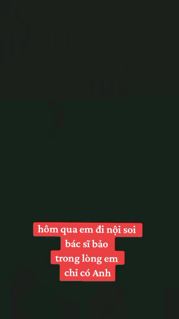 @như ngọc 588