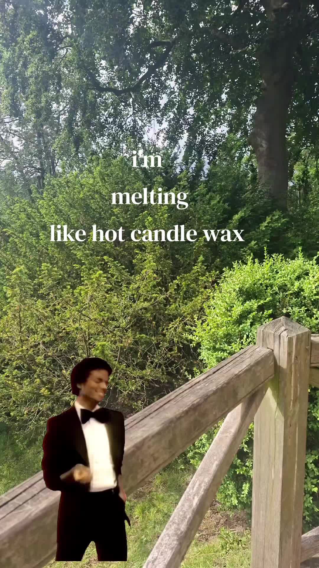 @Luvcatfann