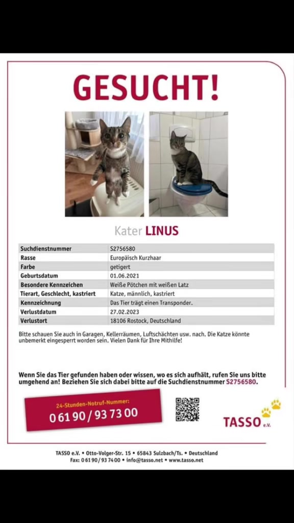 @Die süße kleine Katzencrew