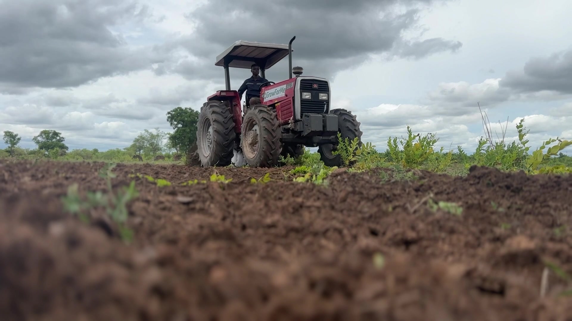 @growformeafrica