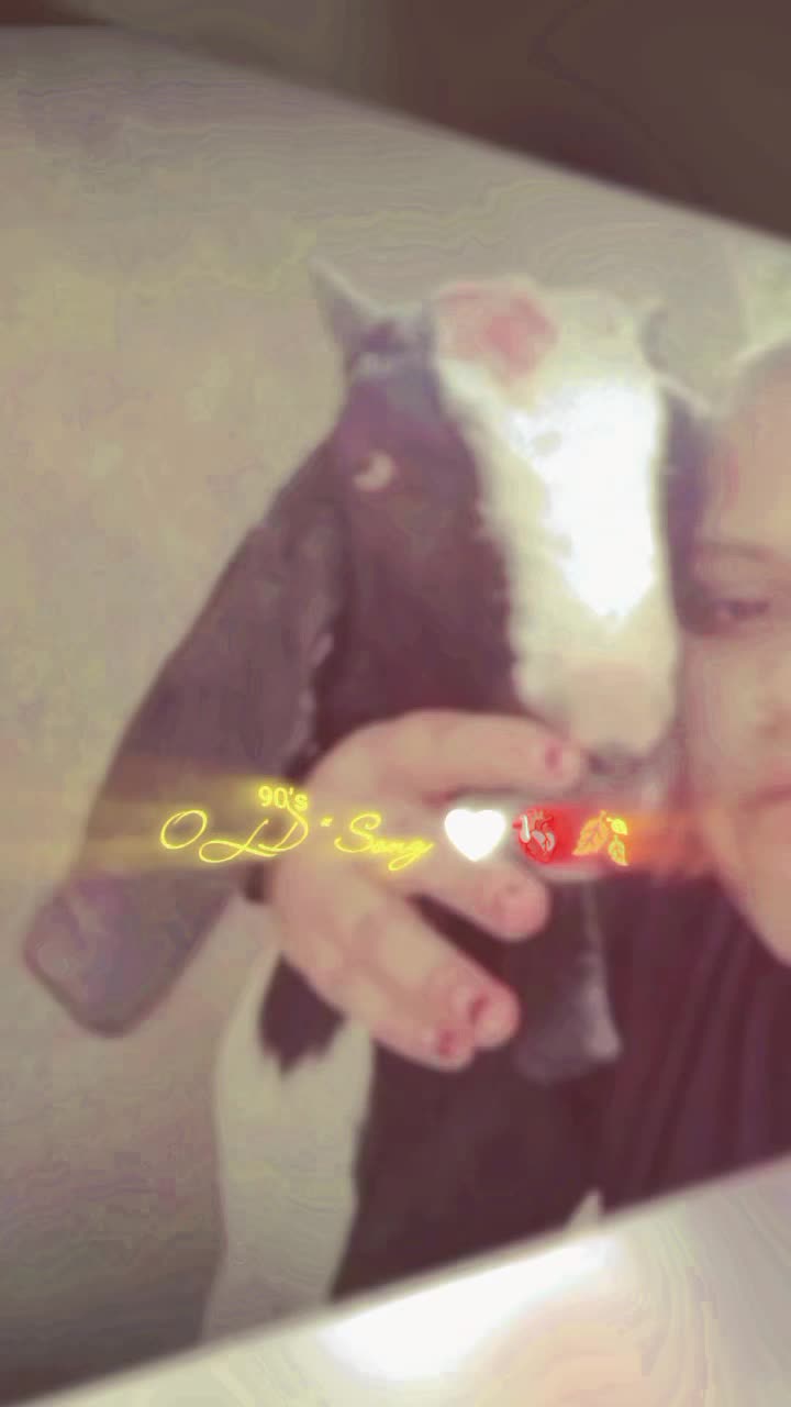 @🌷͙֒𝐝𝐫𝐞𝐚𝐦 𝐠𝐢𝐫𝐥👰&zwj;♀️❤️