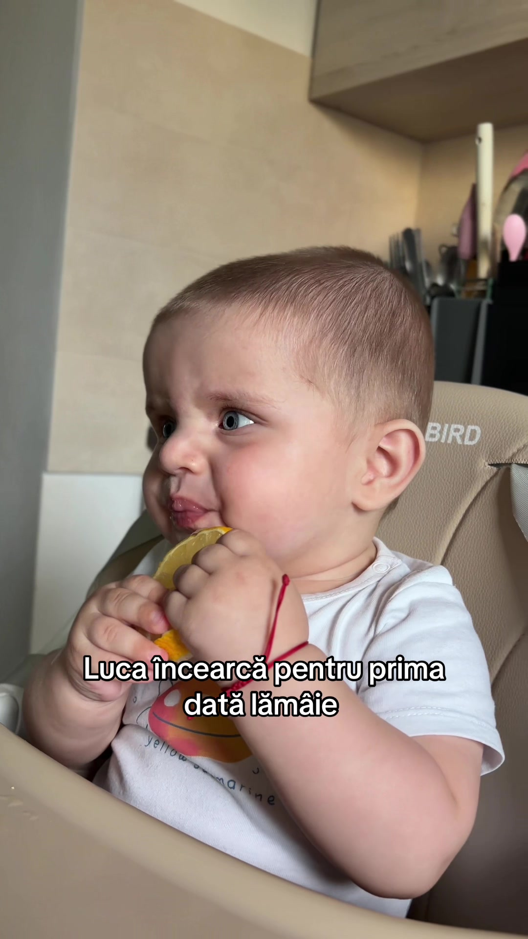 @Bondor Alexandra
