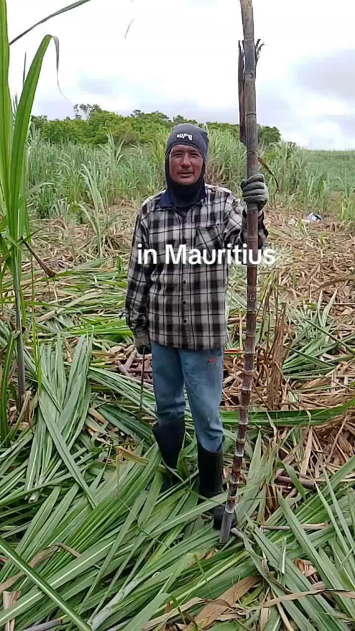 @Bishnu pariyar
