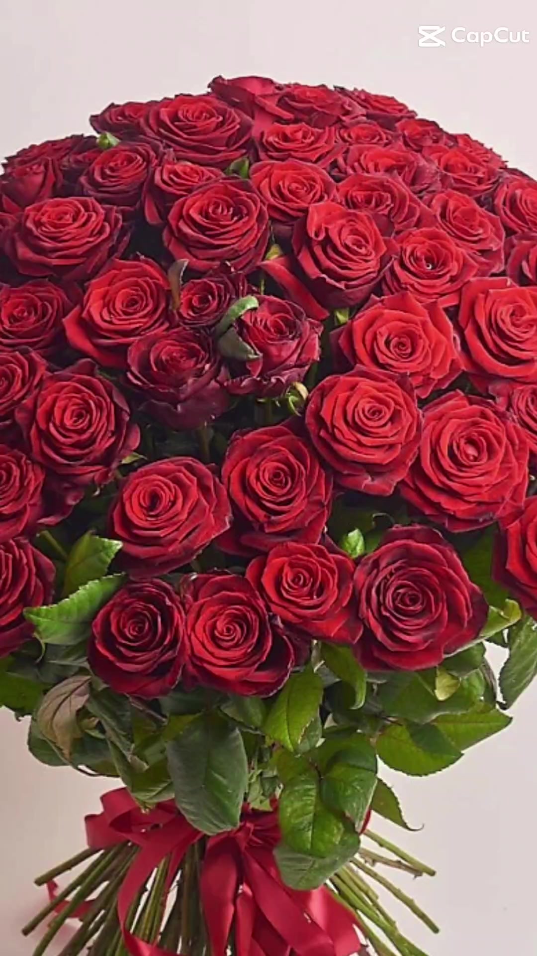@nadezhdasvet1