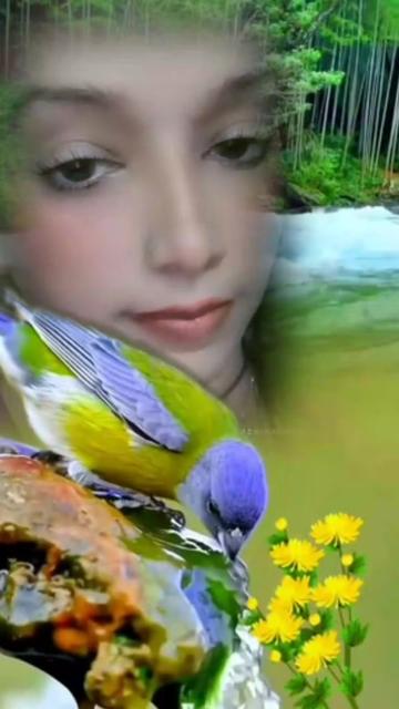 @sana shehzadi Mughal