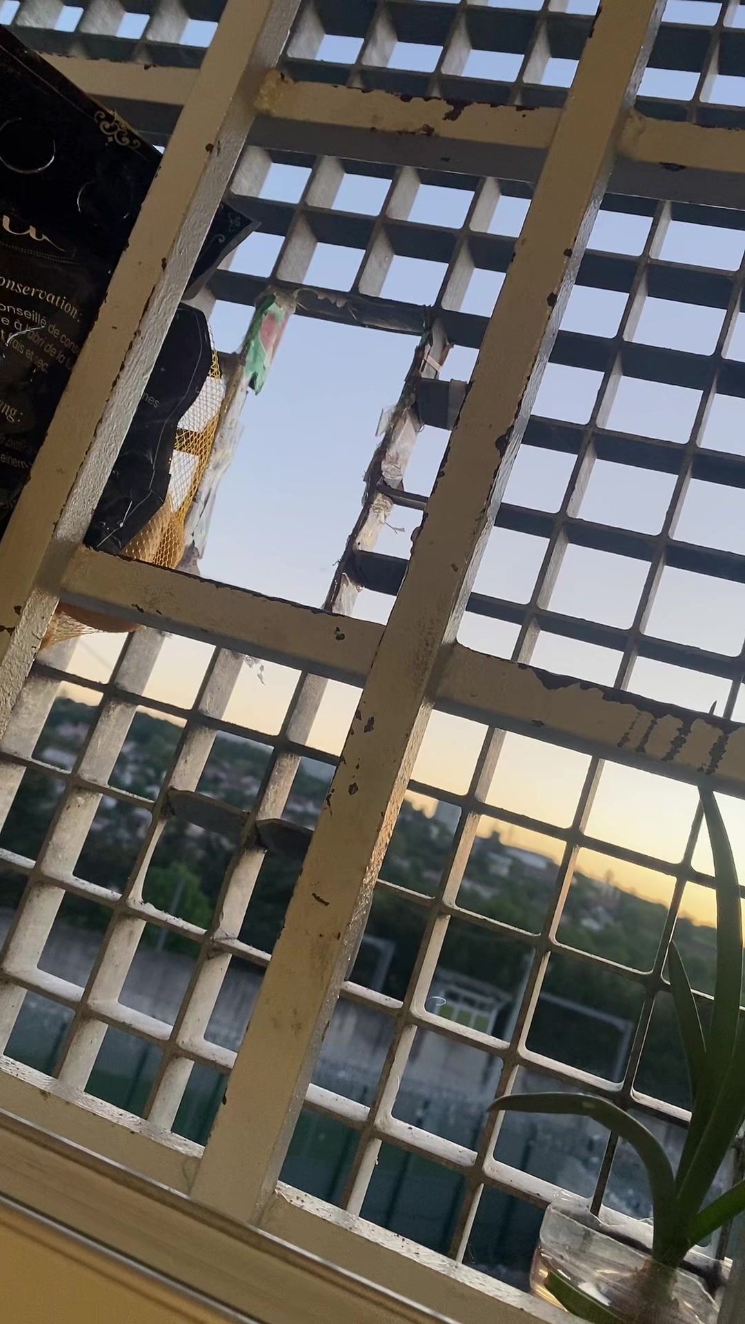 @🇦🇲🇨🇵