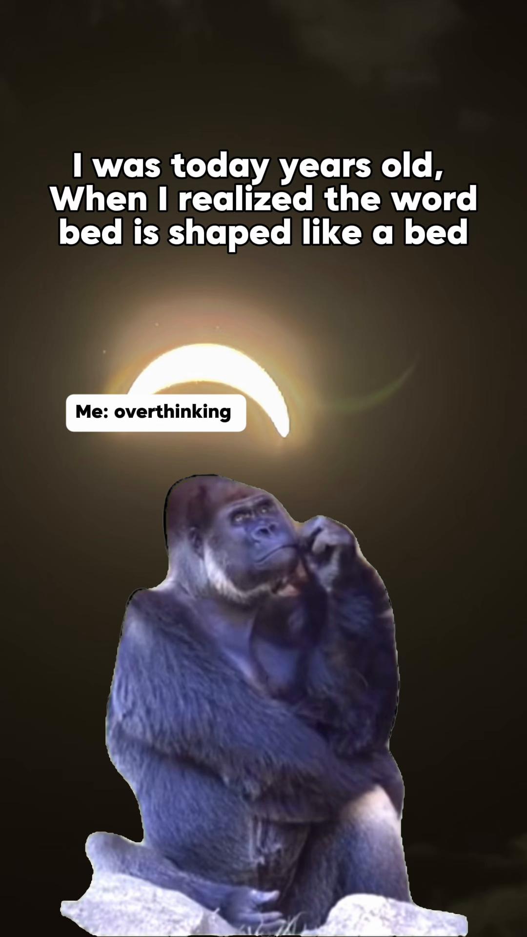 @Danielle Lawrence
