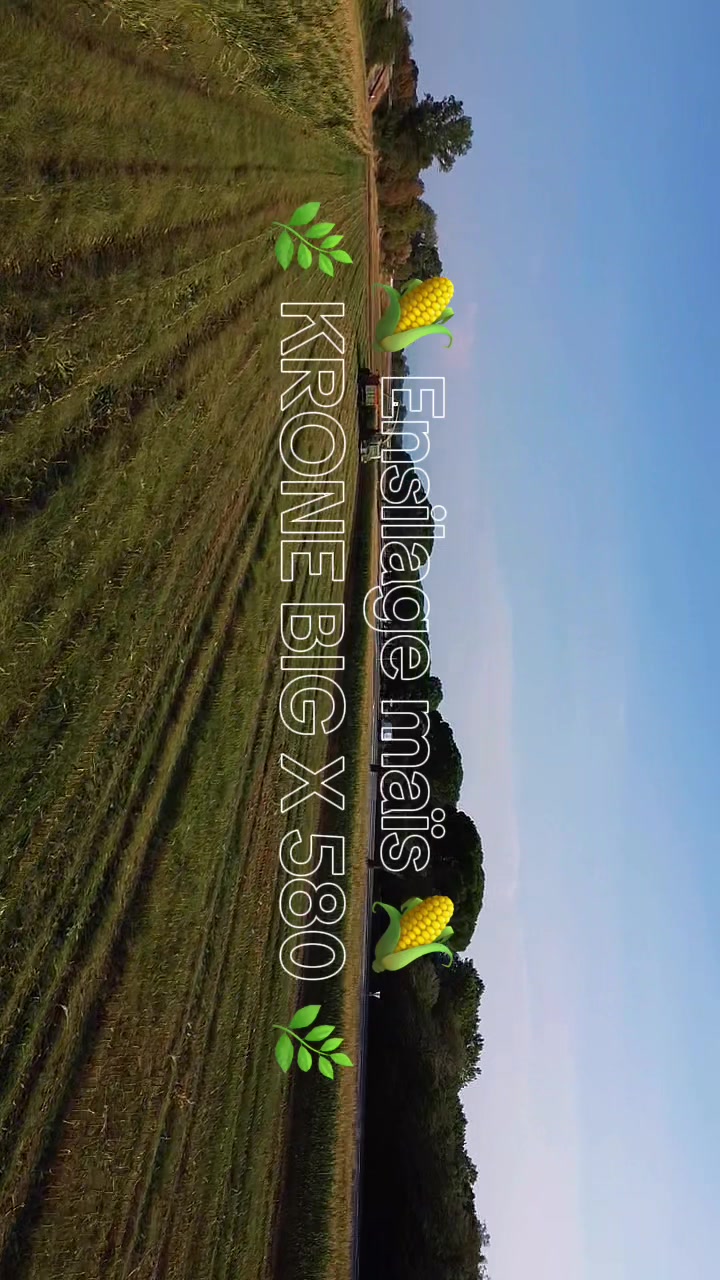 @Ⓜ️🅰️T🚜