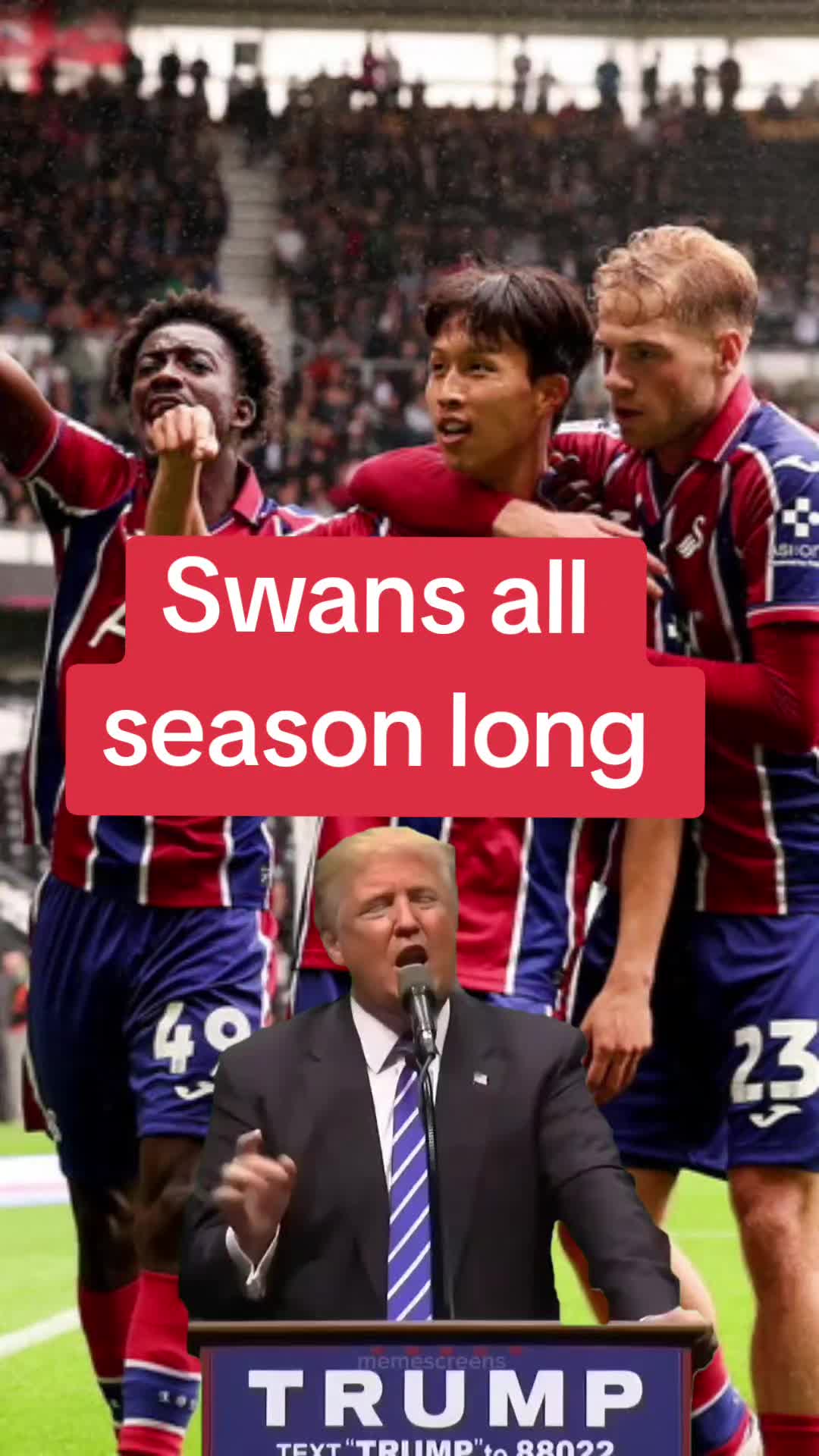 @swansea swanz