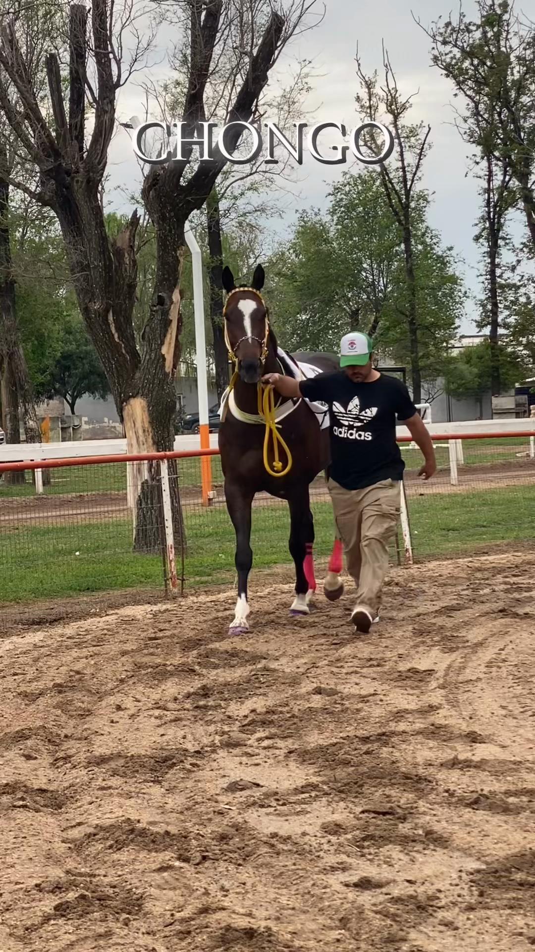 @Sofii Brito🏇🏽