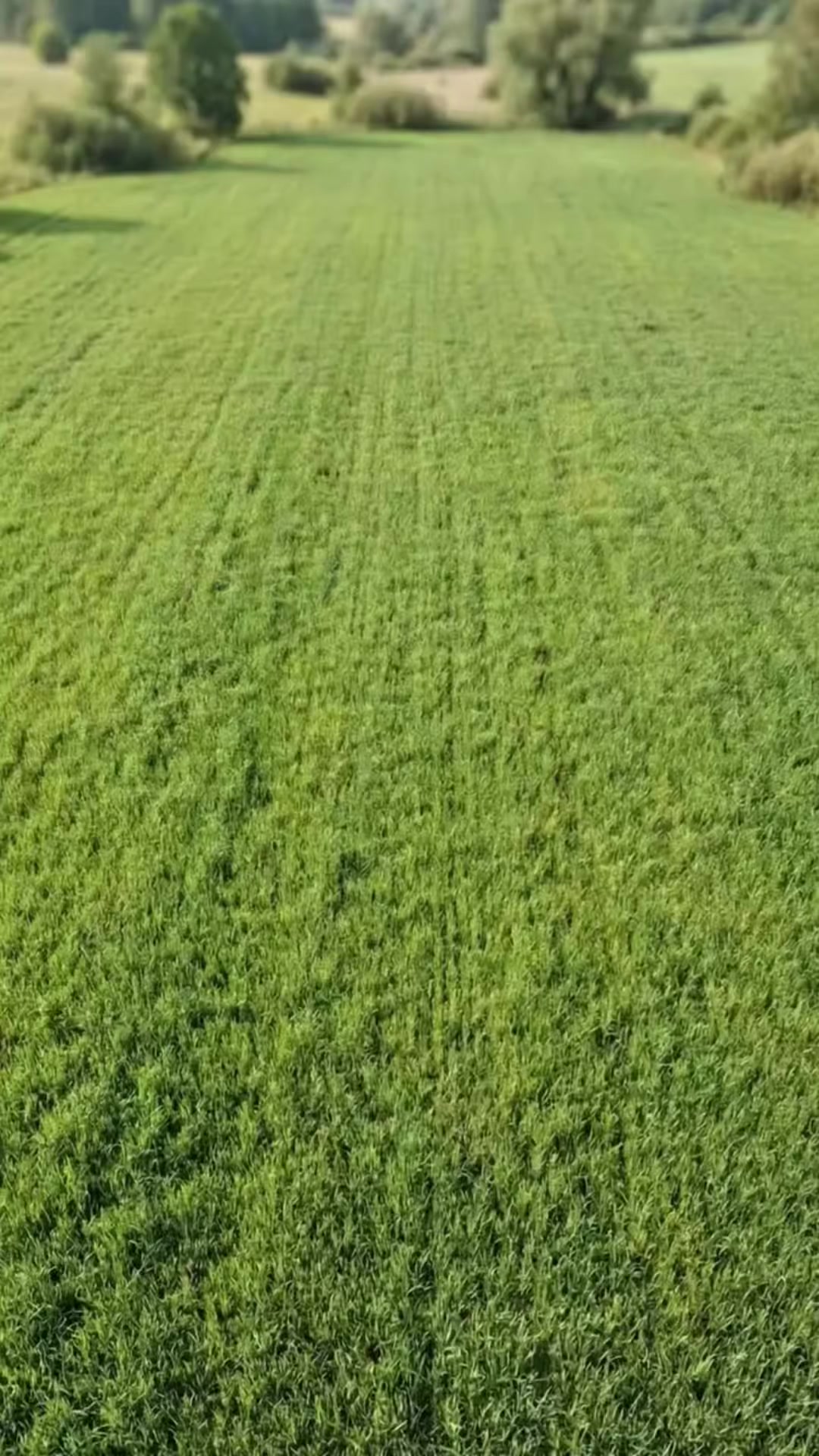 @محمد الياس علي🇸🇦