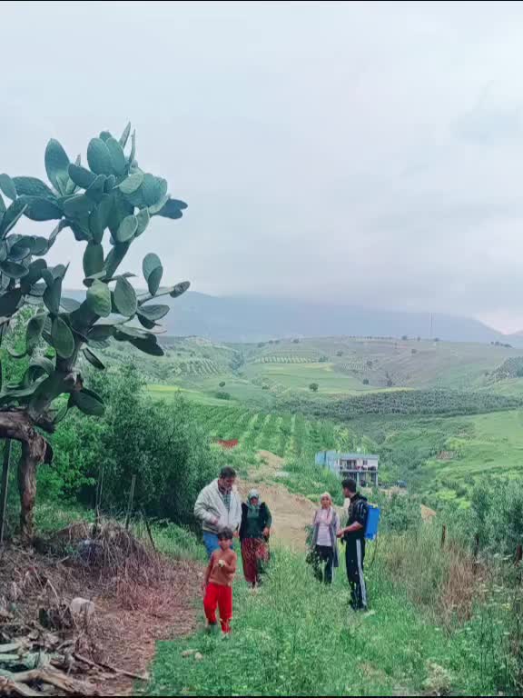 @Ç Vural ailesi