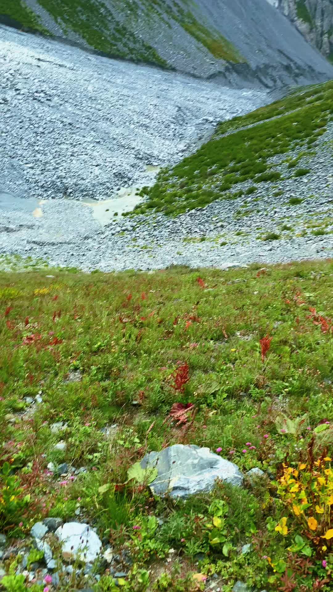 @mishaqoutdoor