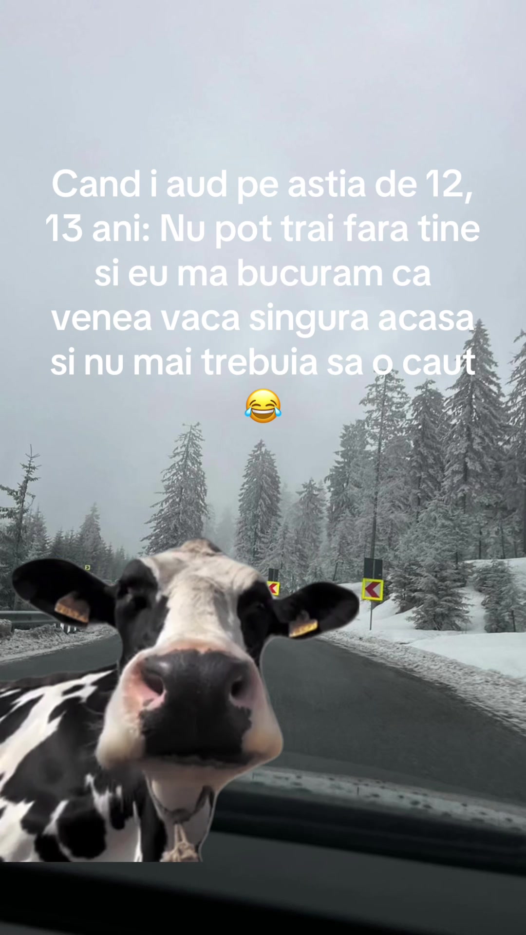 @Marian Dragu