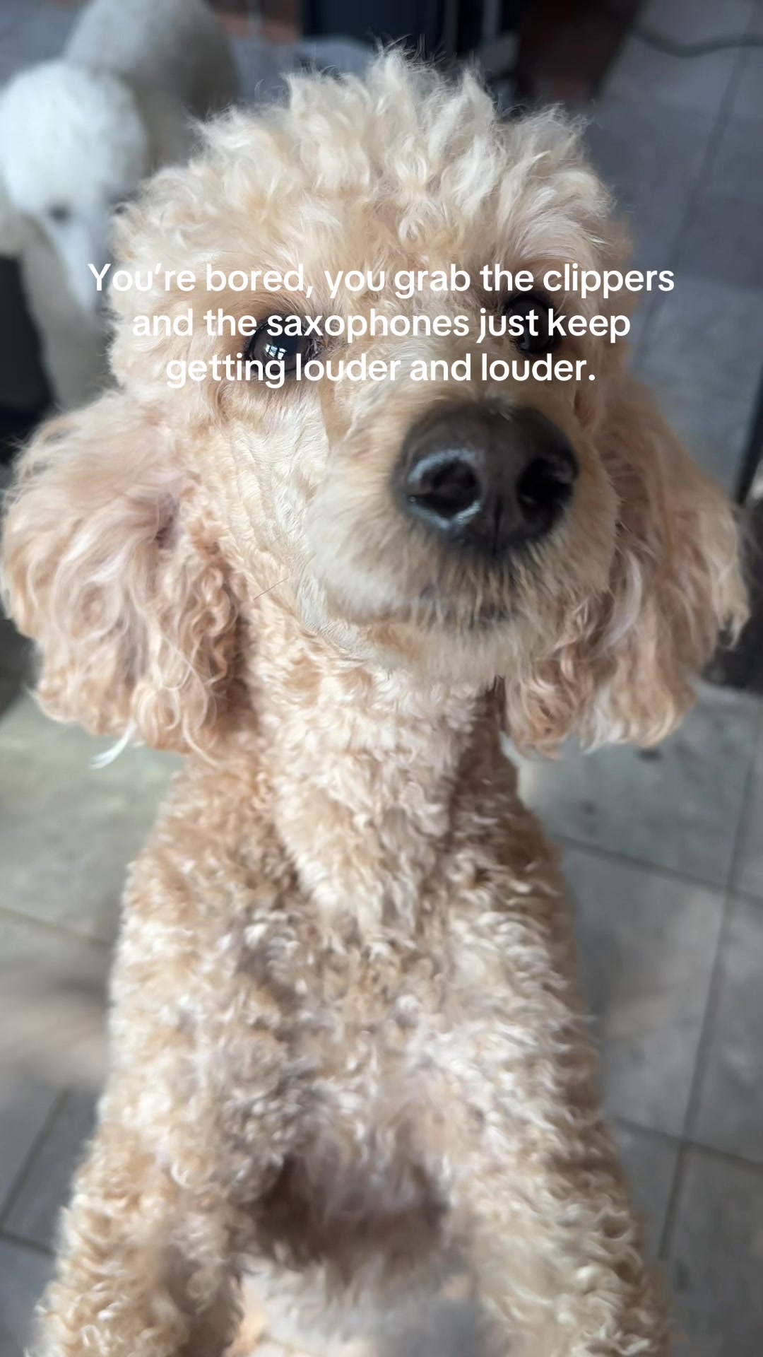 @packwalkdiaries