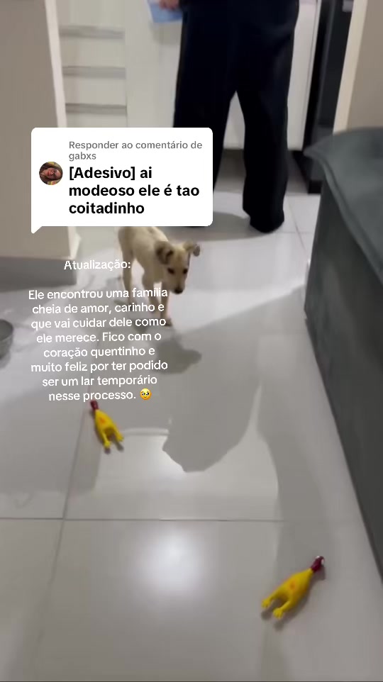 @✭𝒌𝒊𝒛𝒛✭🐈&zwj;⬛
