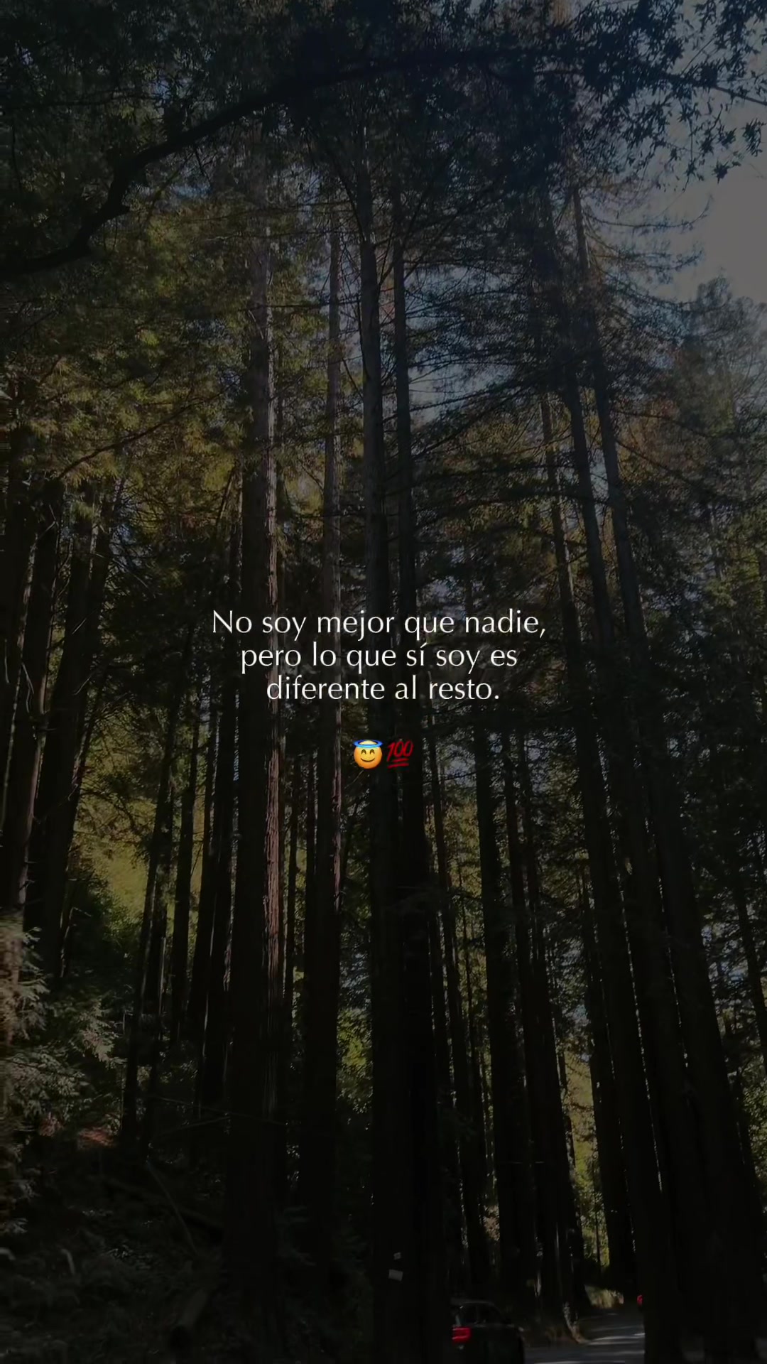 @SoyLionardo_R🐻❤️&zwj;🩹
