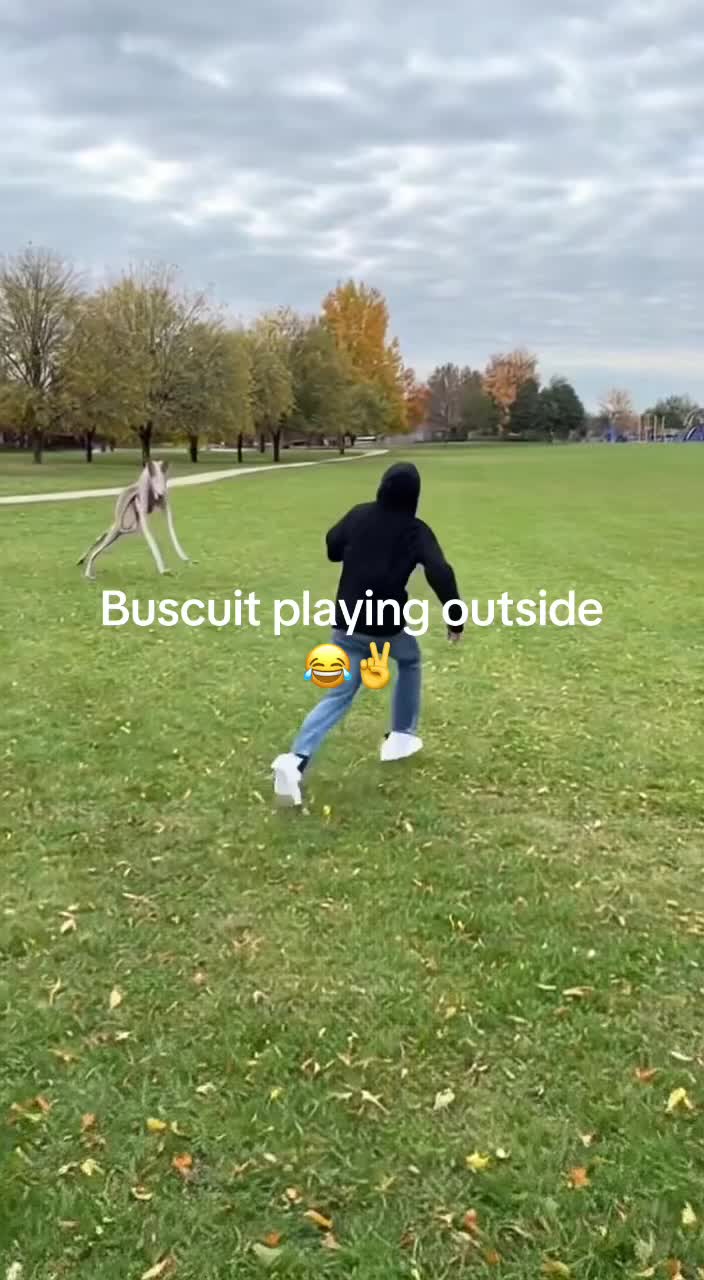 @Zisc