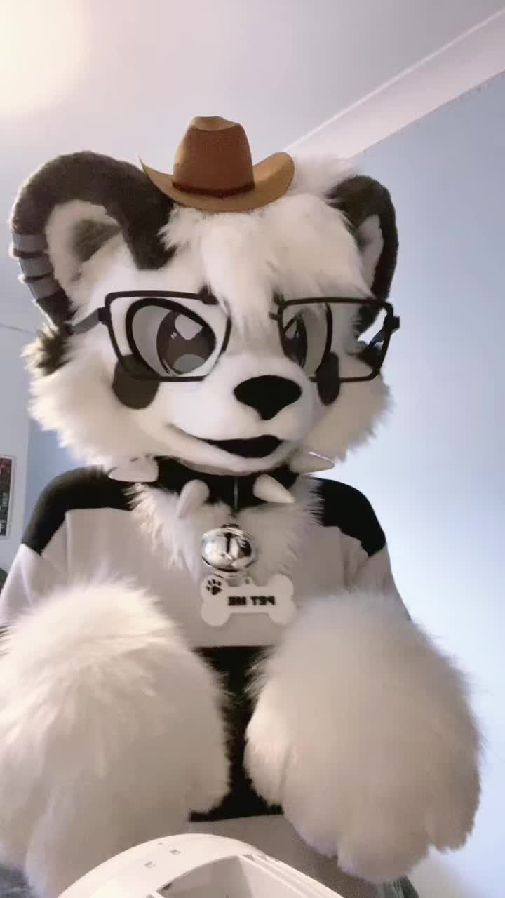 @🎬Lykoi🐾