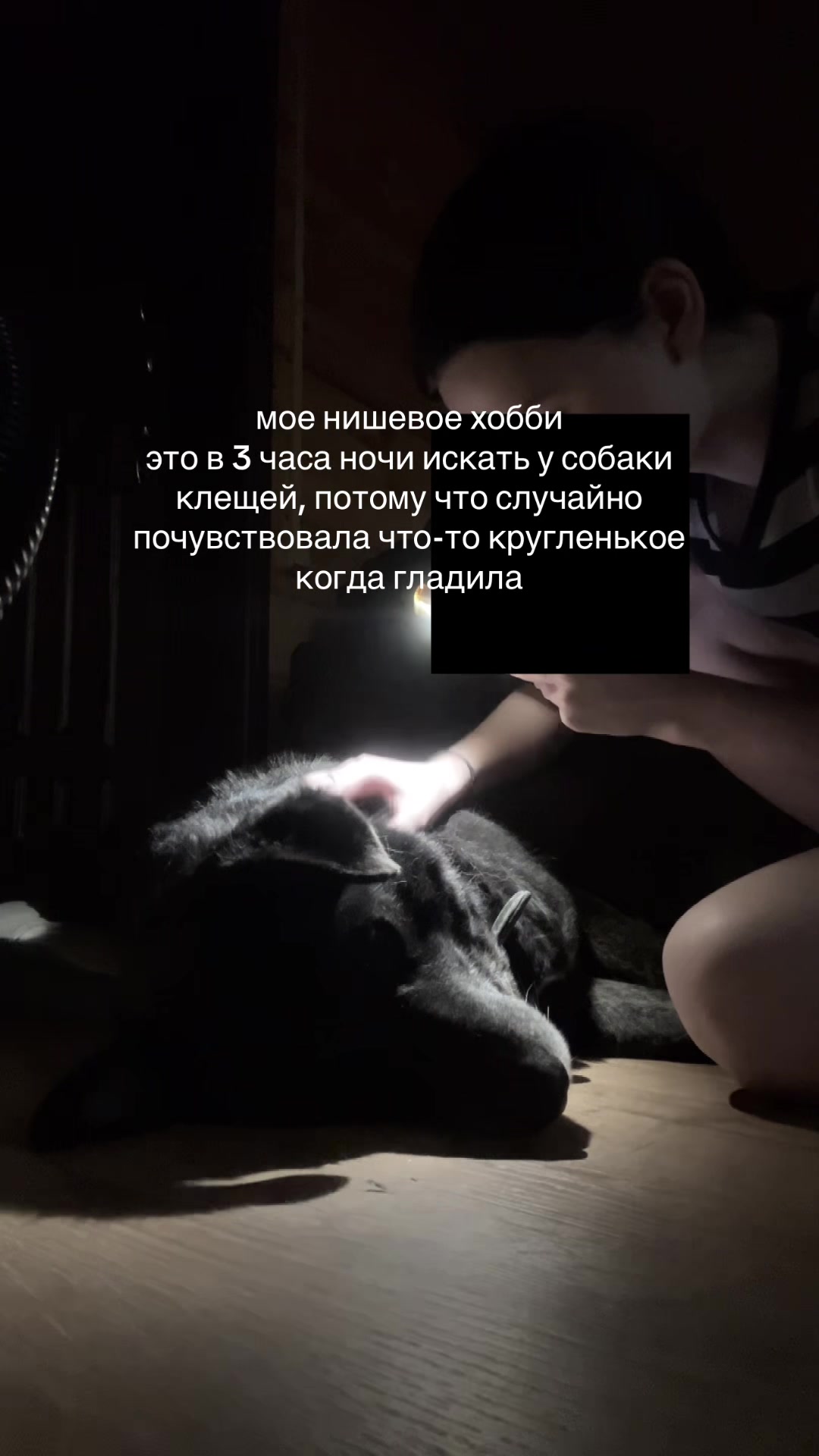 @ксивика