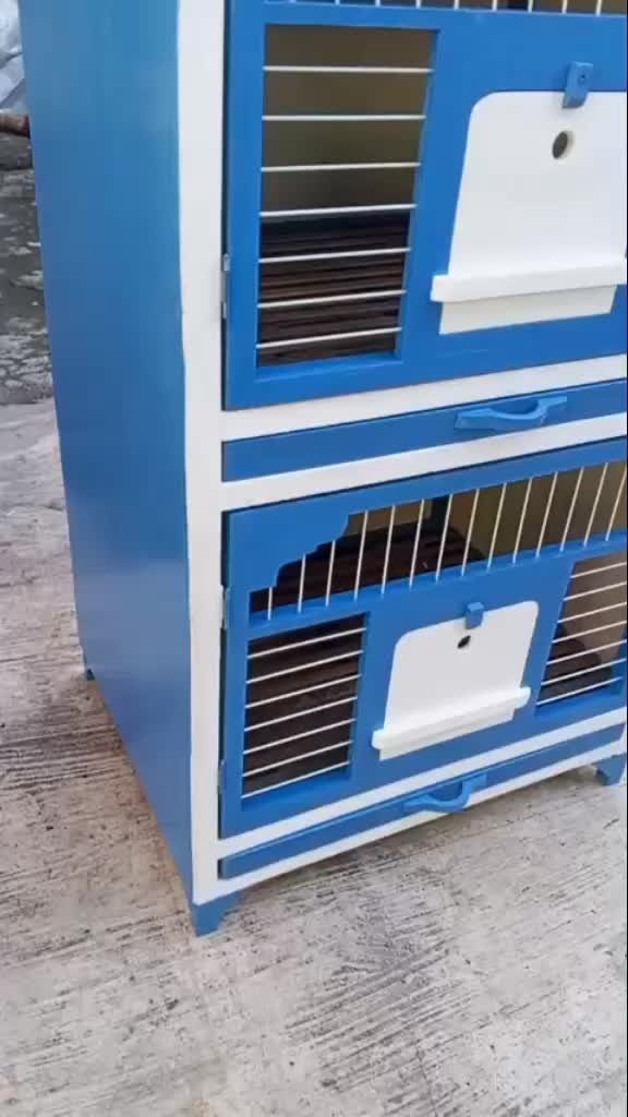 @кσєdʝαηg ωσσdcrαƒт