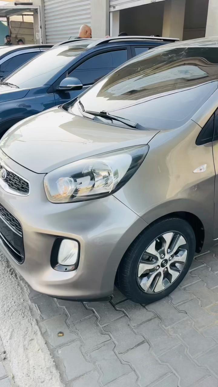 @شريف ابو مسعود