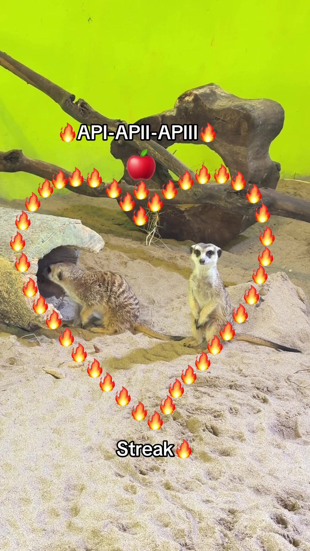 @Chuppy