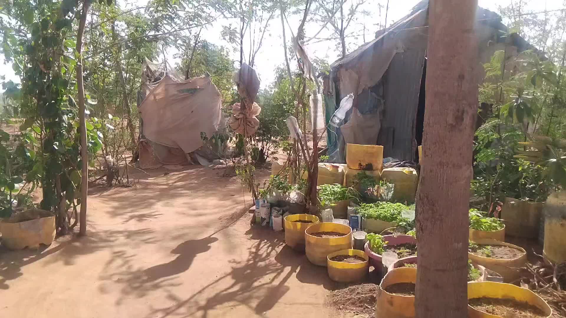 @Goyo Katumbaku kipozeo