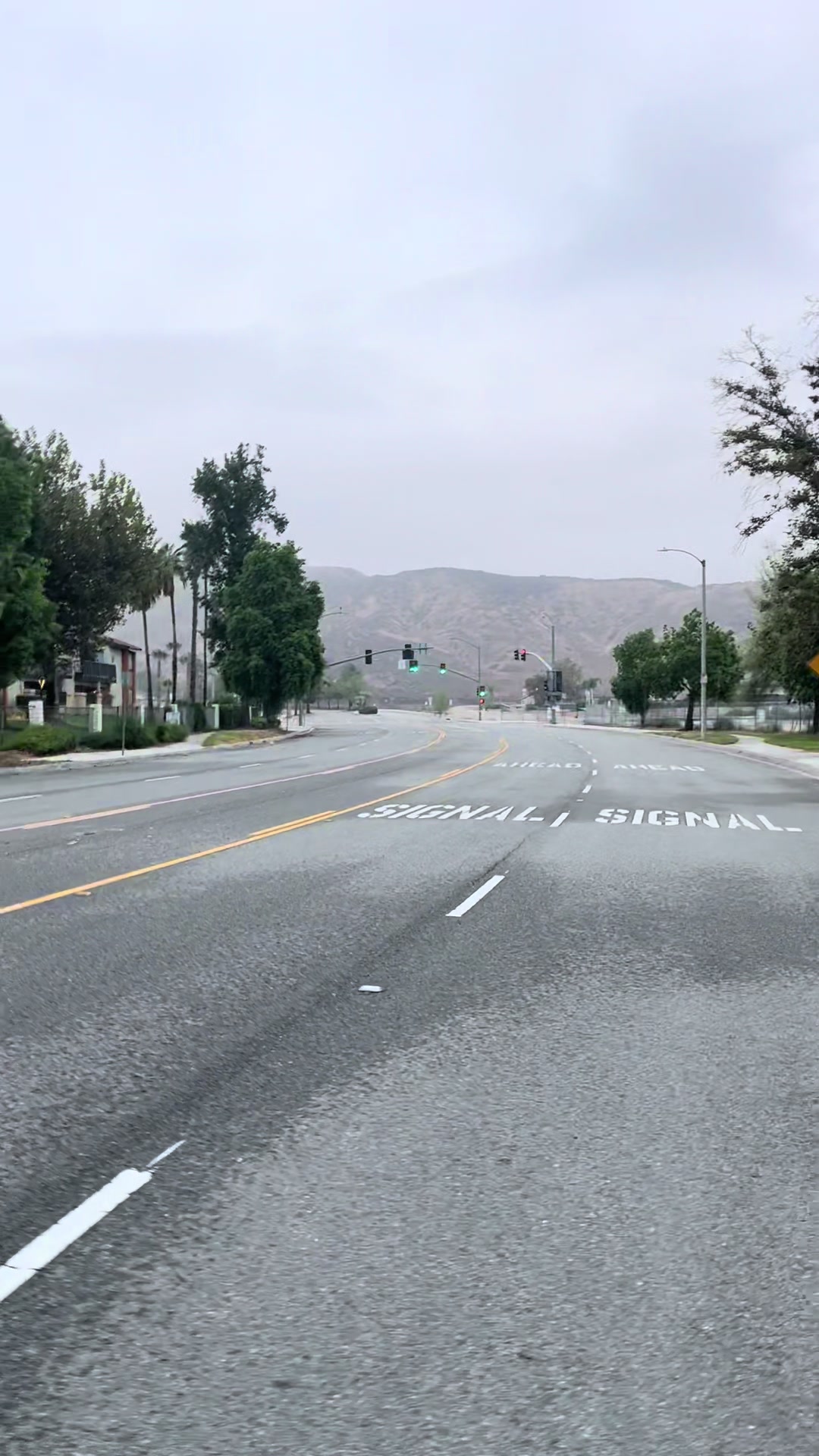 @aly b