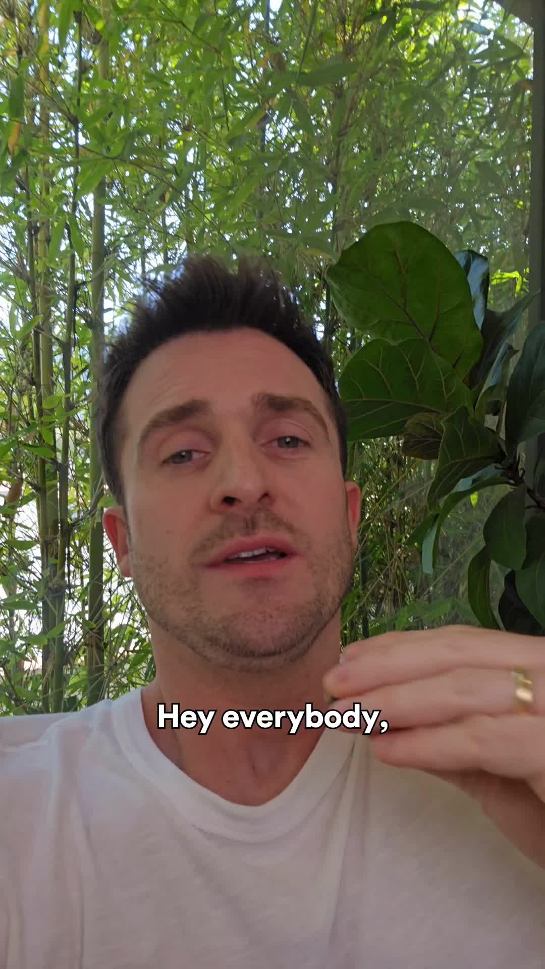 @thematthewhussey