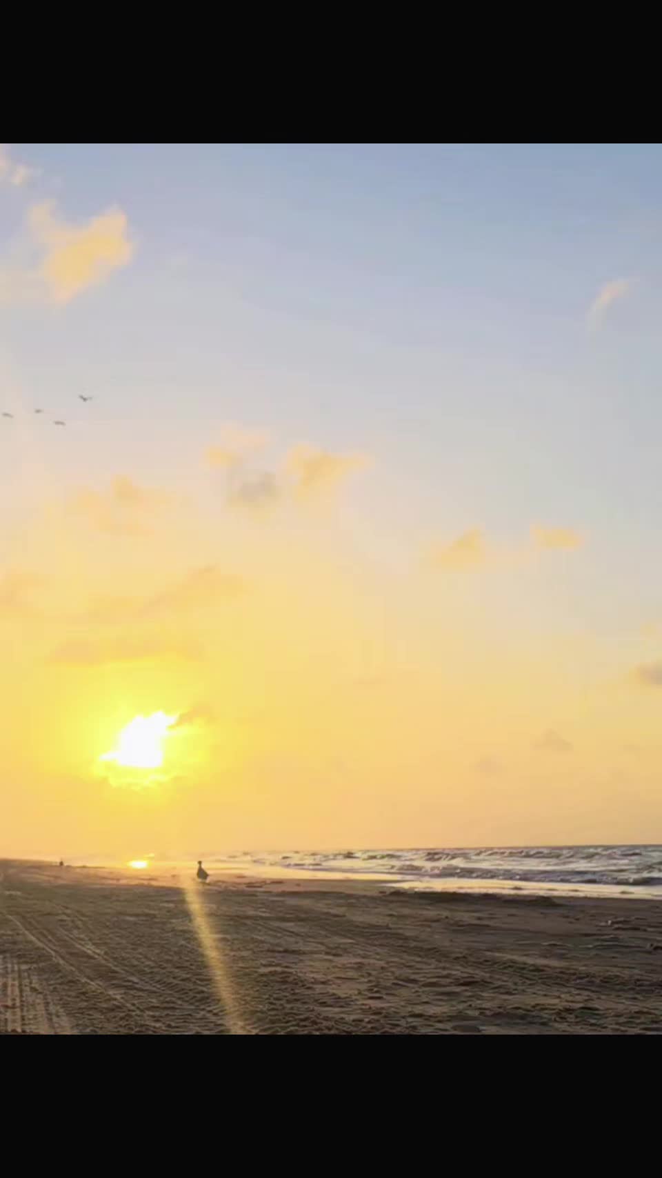 @BeachDayz40