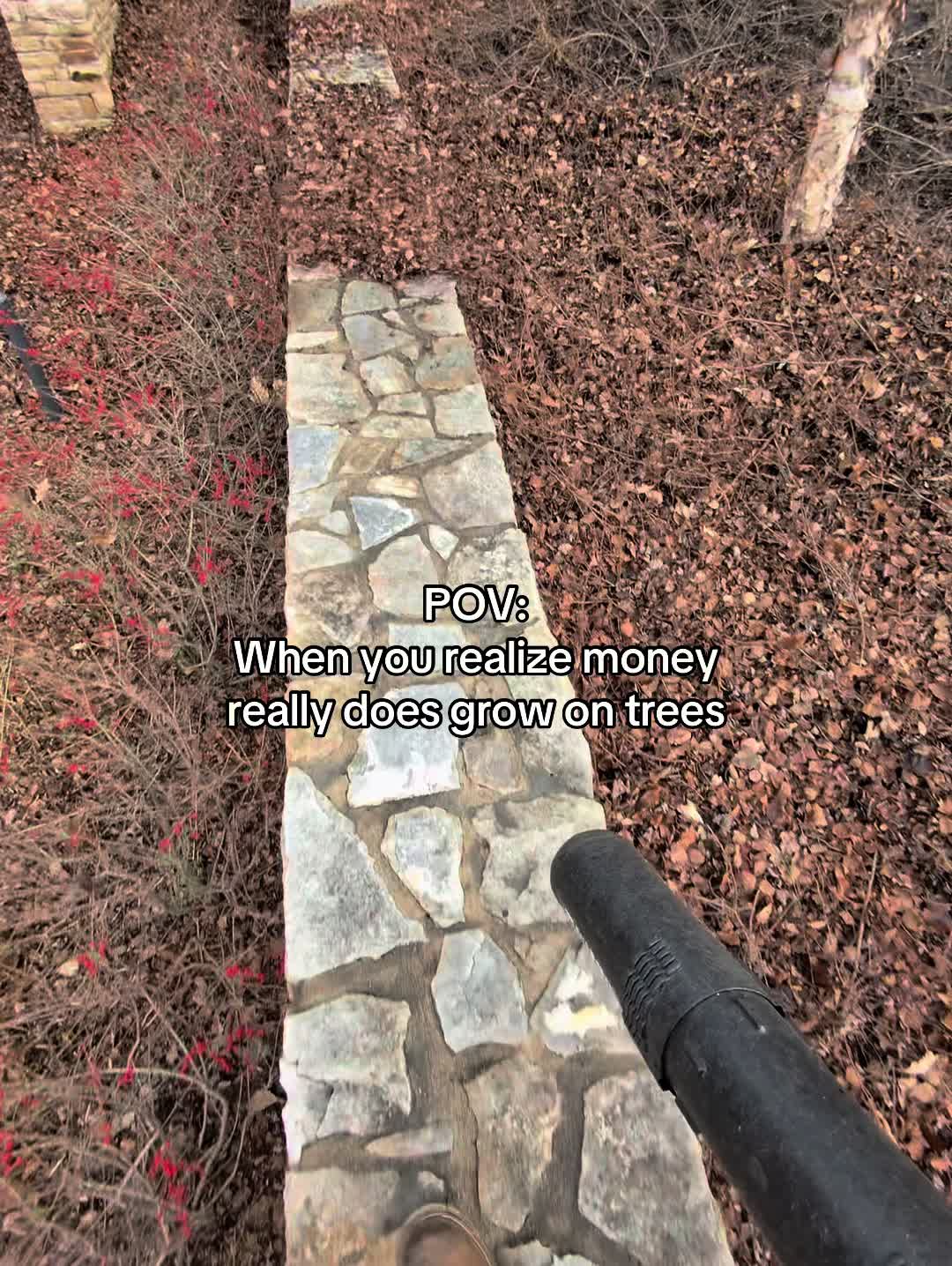 @Even Stevens Lawn Care