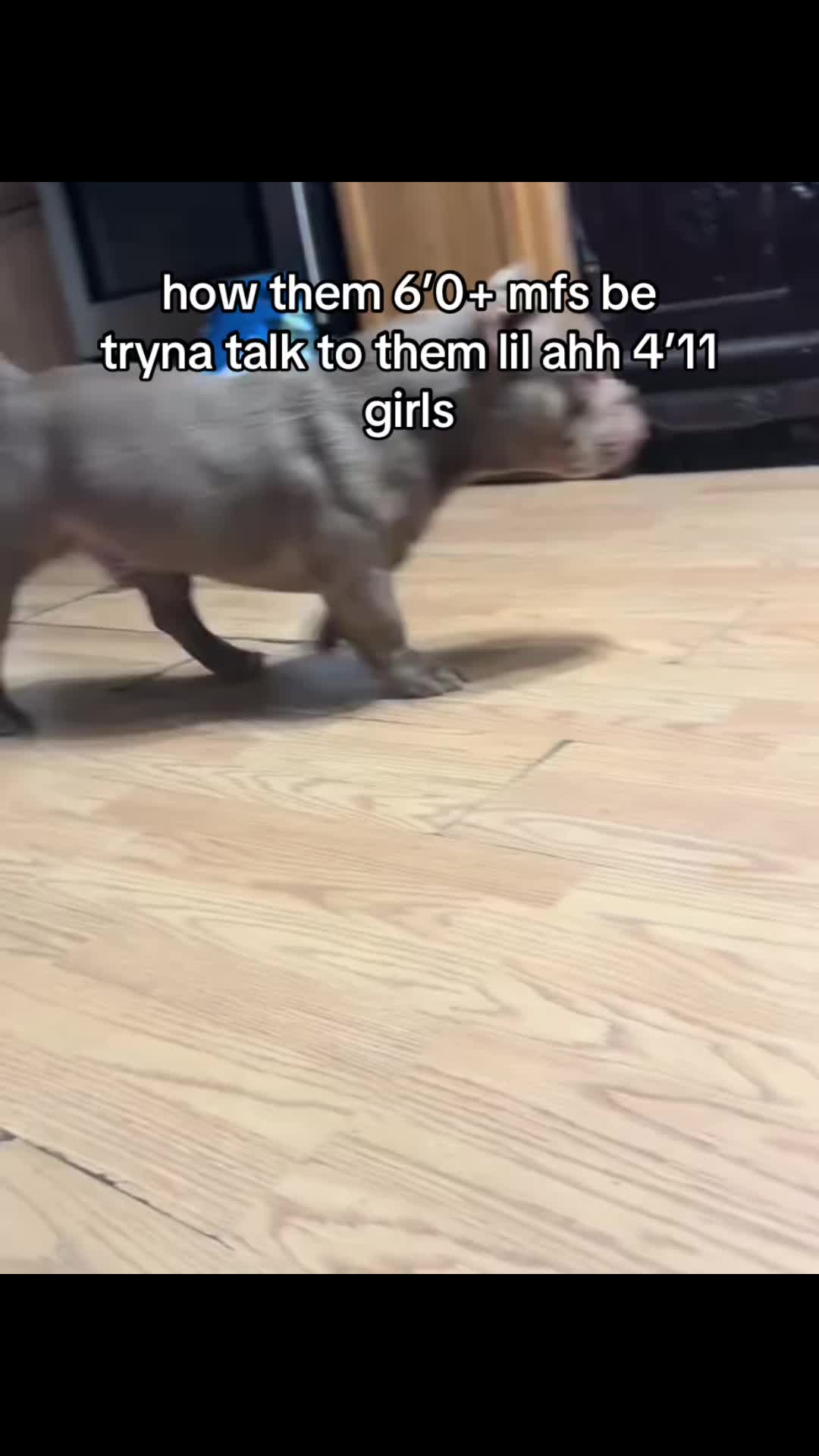 @JJ