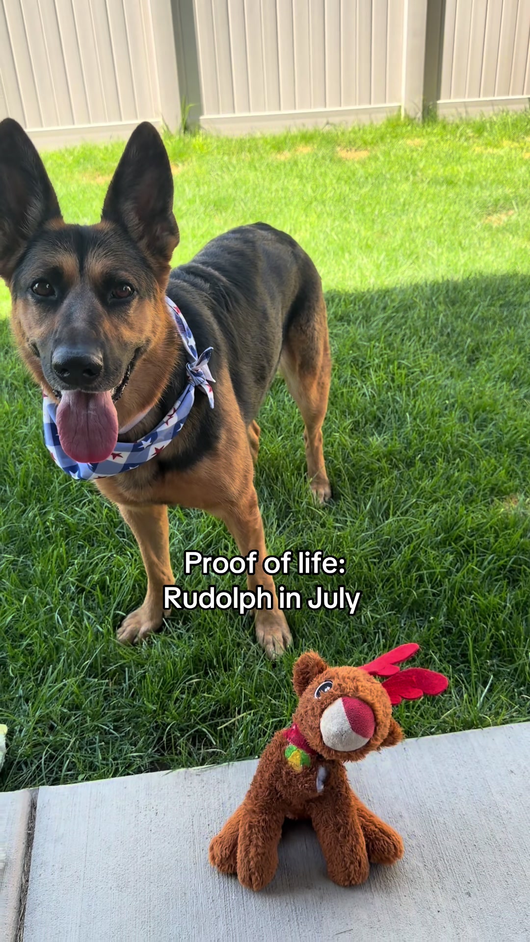 @Rory The Not-Working GSD