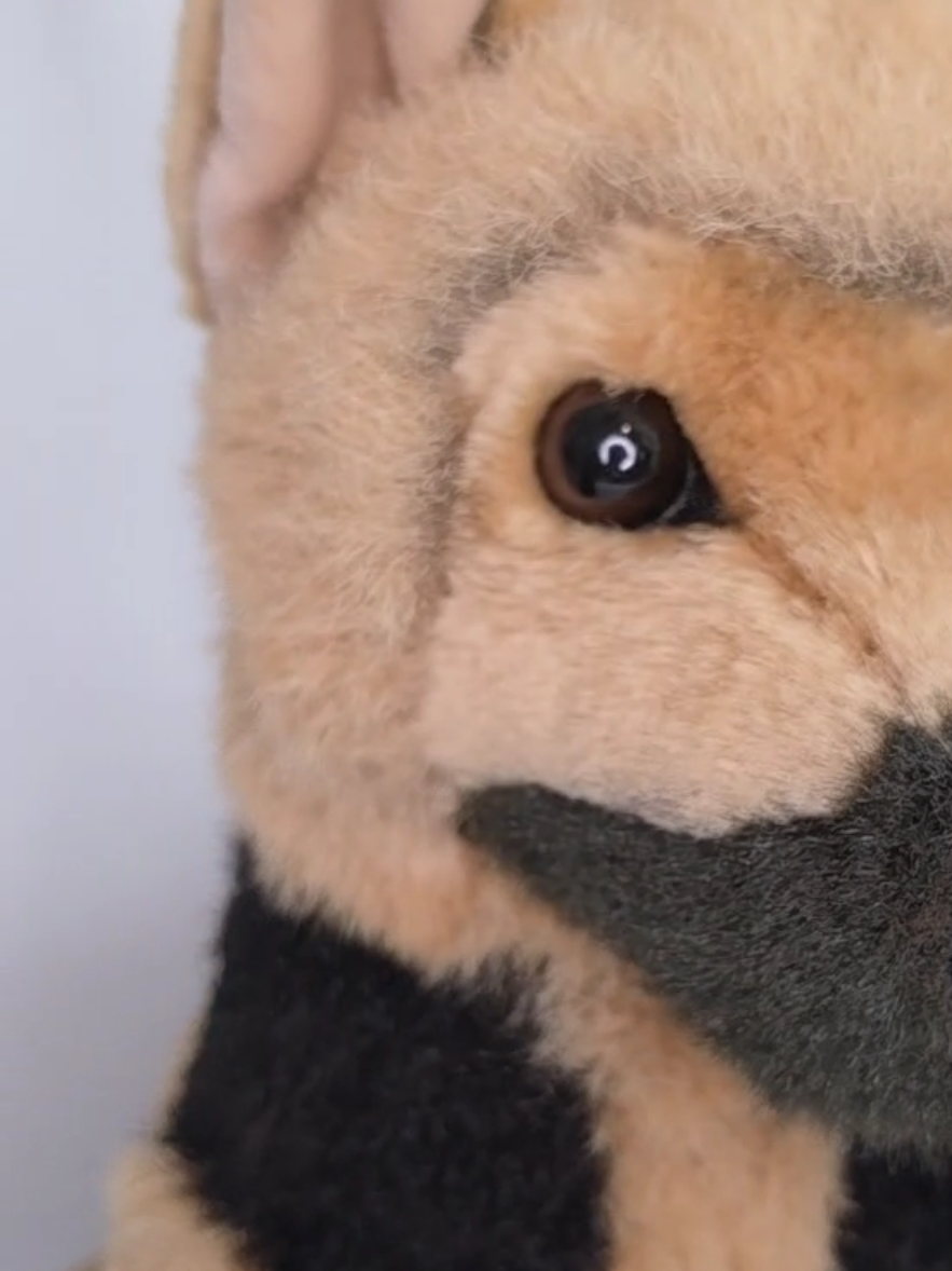 @TreasureDenPlush