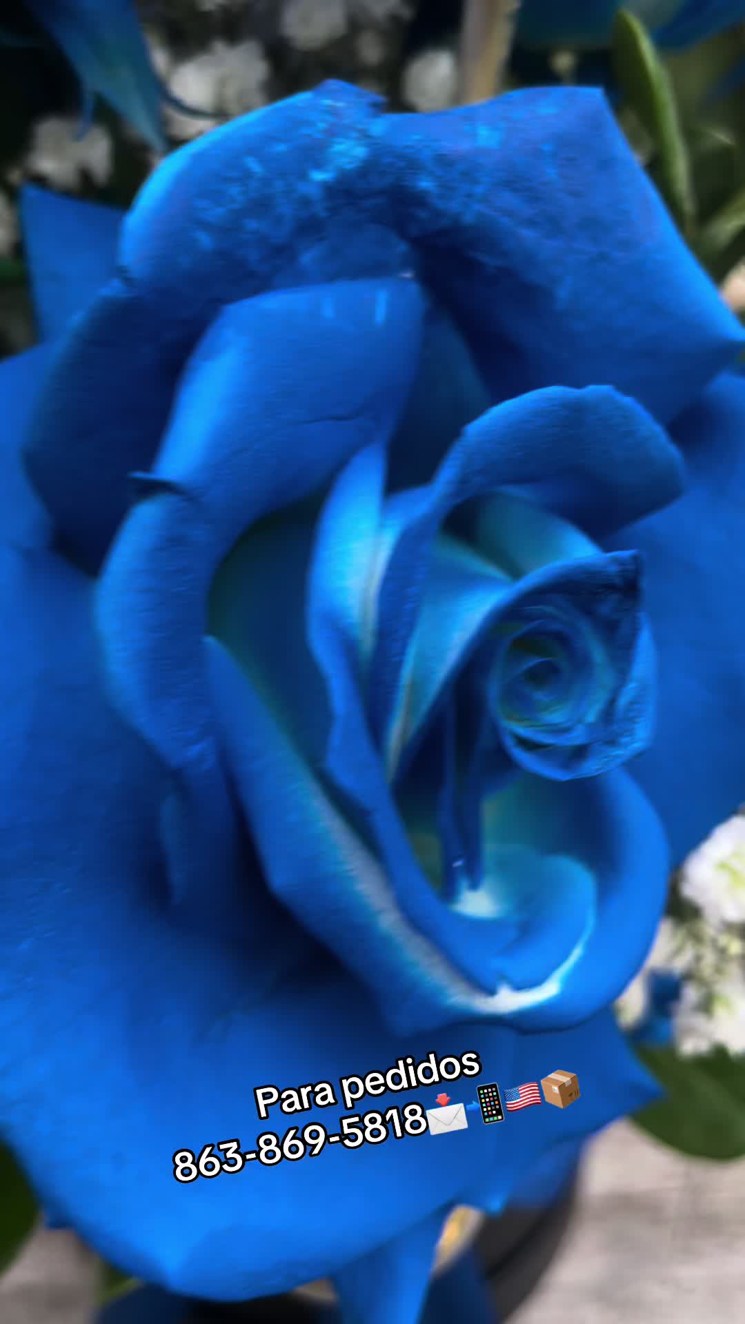 @ramos.eternos_norma 🫶🦋🦋