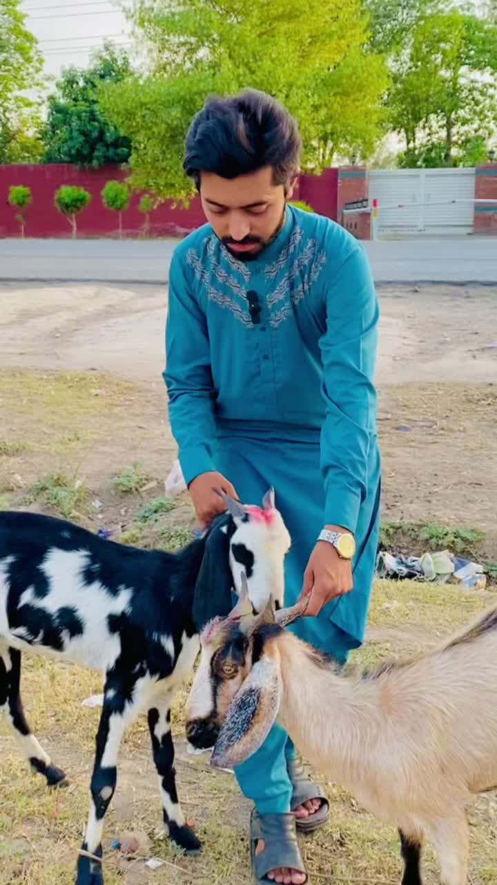 @Prince Haseeb official